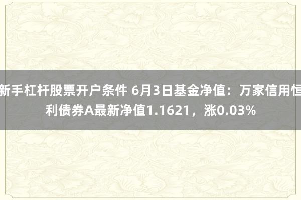 新手杠杆股票开户条件 6月3日基金净值：万家信用恒利债券A最新净值1.1621，涨0.03%