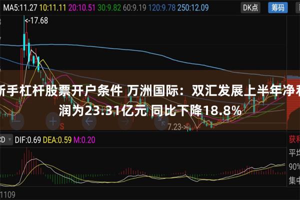 新手杠杆股票开户条件 万洲国际：双汇发展上半年净利润为23.31亿元 同比下降18.8%