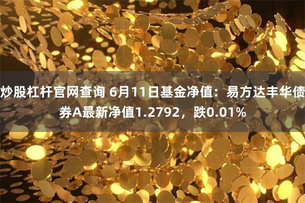 炒股杠杆官网查询 6月11日基金净值：易方达丰华债券A最新净值1.2792，跌0.01%