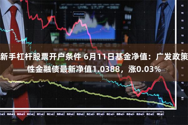 新手杠杆股票开户条件 6月11日基金净值：广发政策性金融债最新净值1.0388，涨0.03%