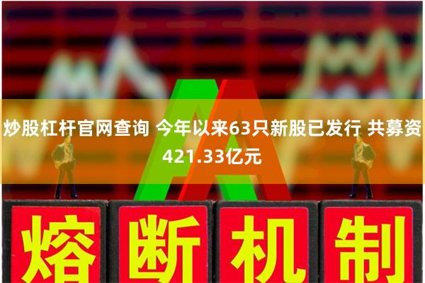 炒股杠杆官网查询 今年以来63只新股已发行 共募资421.33亿元